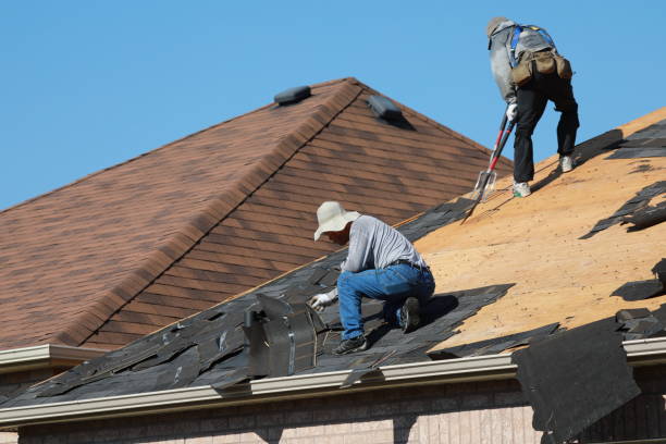 Best Roof Coating and Sealing  in Agler Estates, FL
