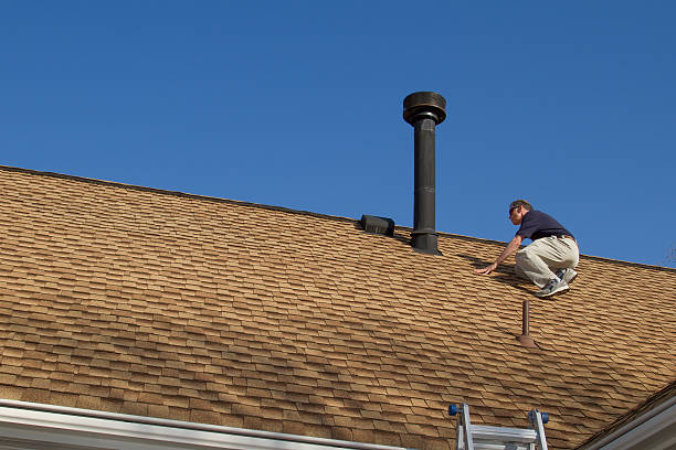 Best Roof Ventilation Installation  in Agler Estates, FL